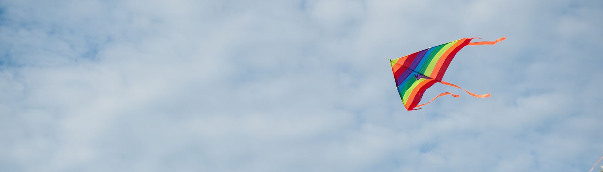 multi_asset_1920x550 banner_article